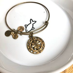 Alex and Ani Compass Bangle